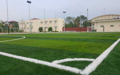 Cỏ nhân tạo sân bóng trường học